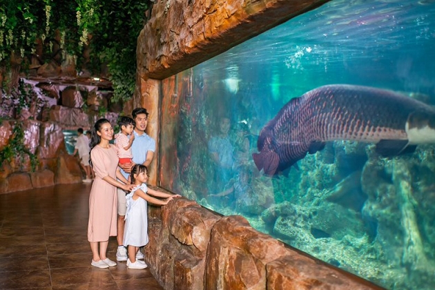 Vé vào cửa Thủy Cung Aquarium dành cho người lớn trên 140cm - Áp dụng Thứ 7, Chủ nhật và Lễ Tết